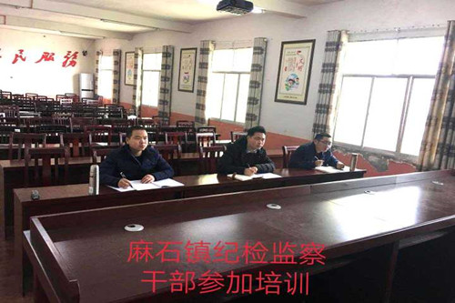 麻石镇分会场_副本