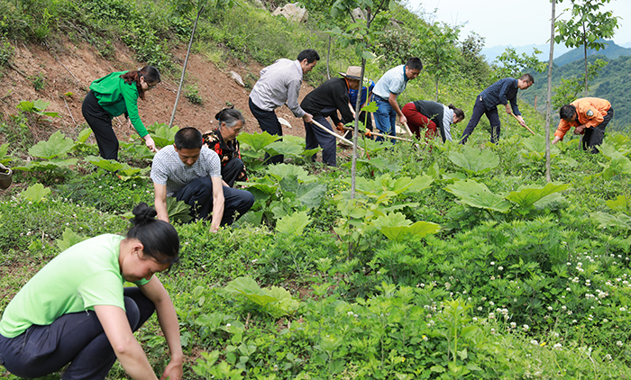 5fa29f2c0c9107cc94ef294362772d88